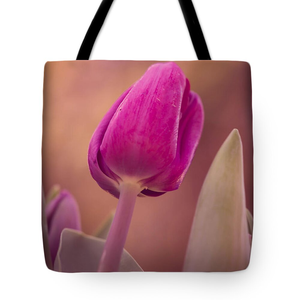Flowers Tote Bag featuring the photograph Daydream by Sara Frank