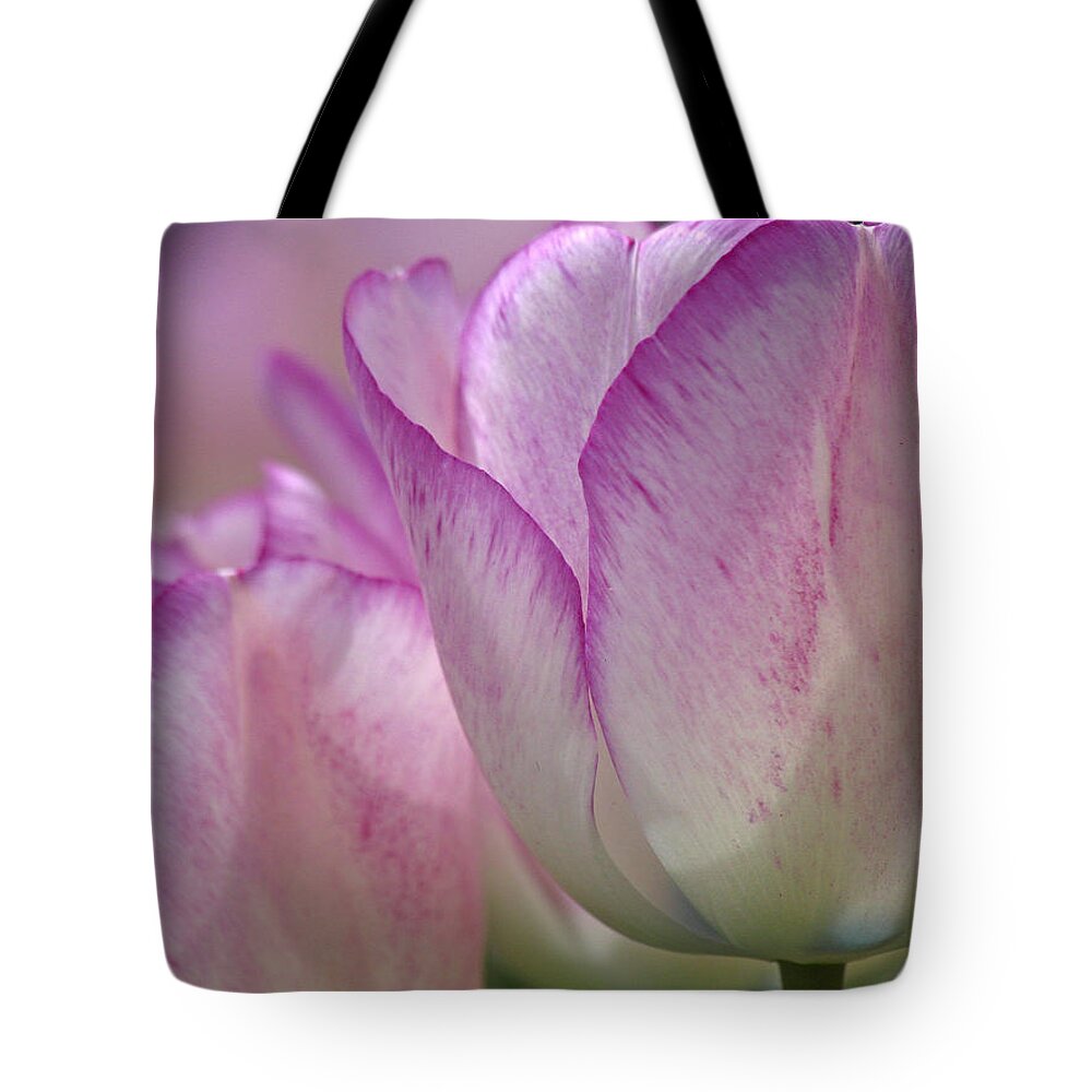 Tulip Tote Bag featuring the photograph Daydreamer by Juergen Roth
