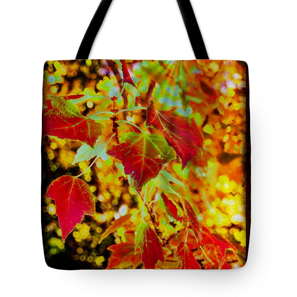 Photo Art Tote Bag featuring the photograph Daydreaming in Color by Mick Anderson
