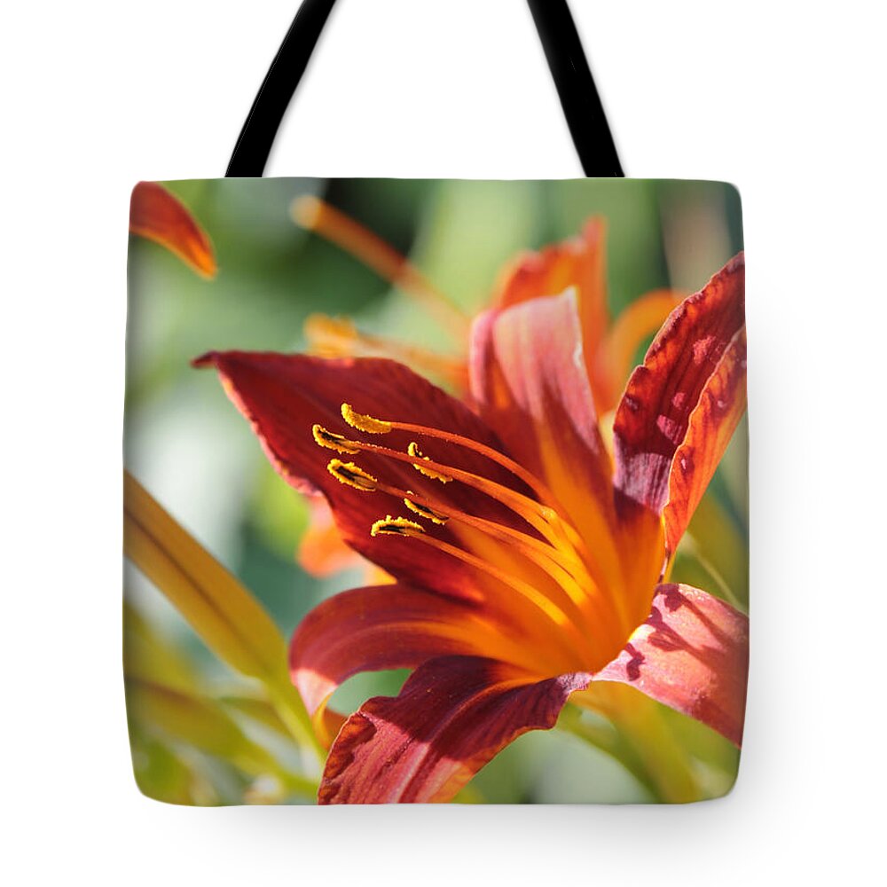 Daylily Tote Bag featuring the photograph Daylily Birthday Card by Carol Groenen