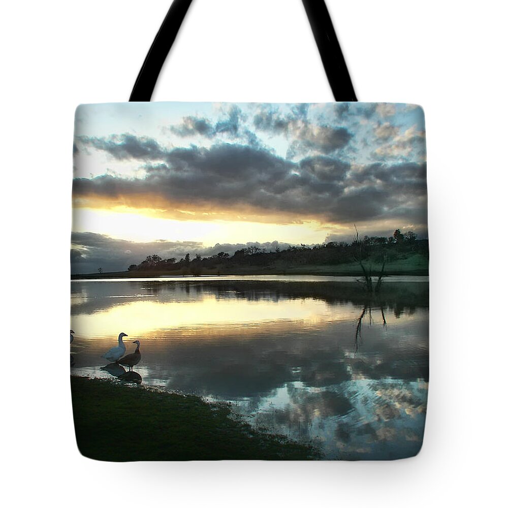 Lake Tote Bag featuring the photograph Days End at Horseshoe Lake by Abram House