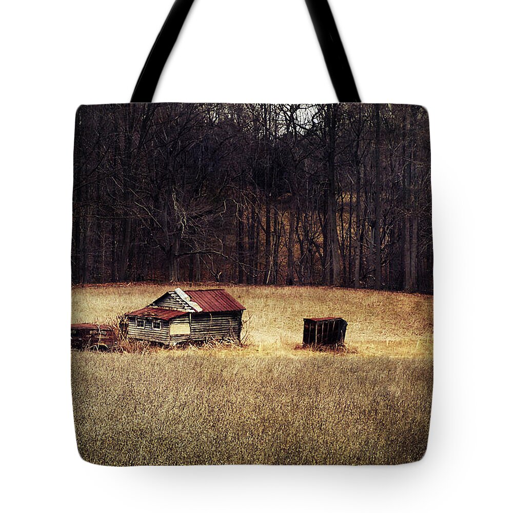Abandoned Tote Bag featuring the photograph Days of the Dead Men by Rebecca Sherman