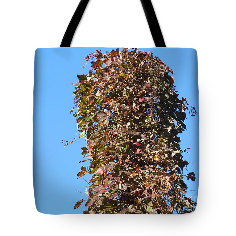 Stumps Tote Bag featuring the photograph Dead Tall Stump covered with new leaves by Tina M Wenger