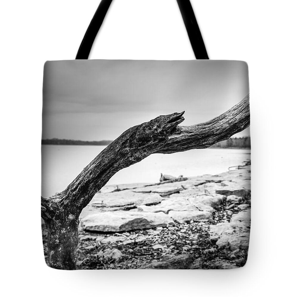 Tree Tote Bag featuring the photograph Dead Wood by Brett Engle