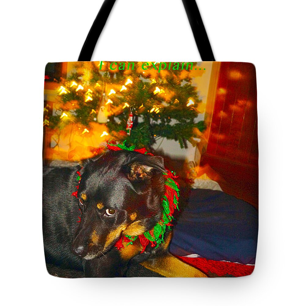 Christmas Tote Bag featuring the photograph Dear Santa by Cassandra Buckley