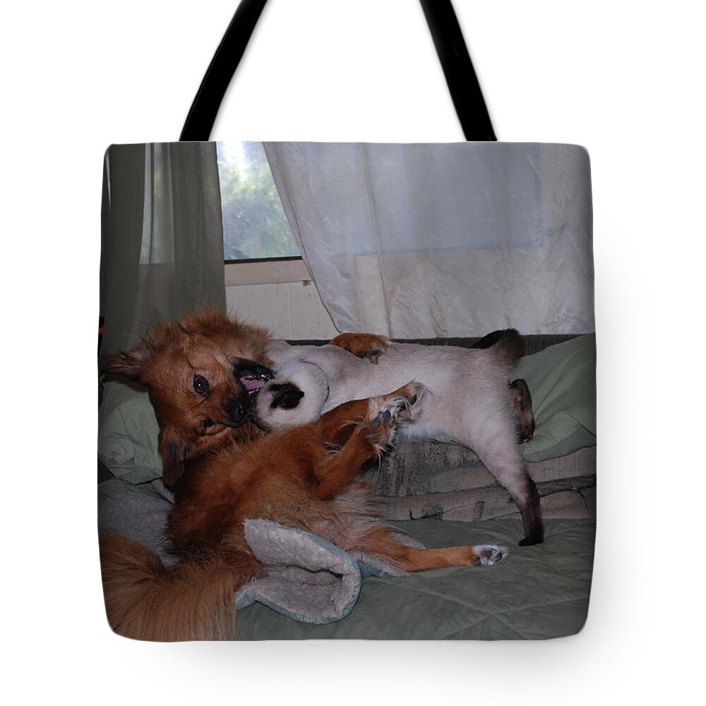 Lady Gets First Bite.ninja Grabs Lady. Dog Cat Tote Bag featuring the photograph Death grip by Robert Floyd