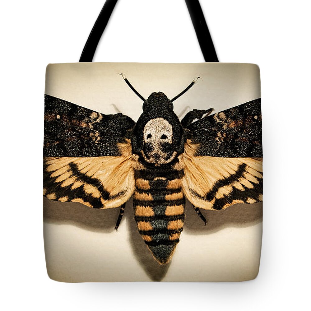Death's-head Hawkmoth Tote Bag featuring the photograph Deaths Head Hawk Moth Lomo by Weston Westmoreland