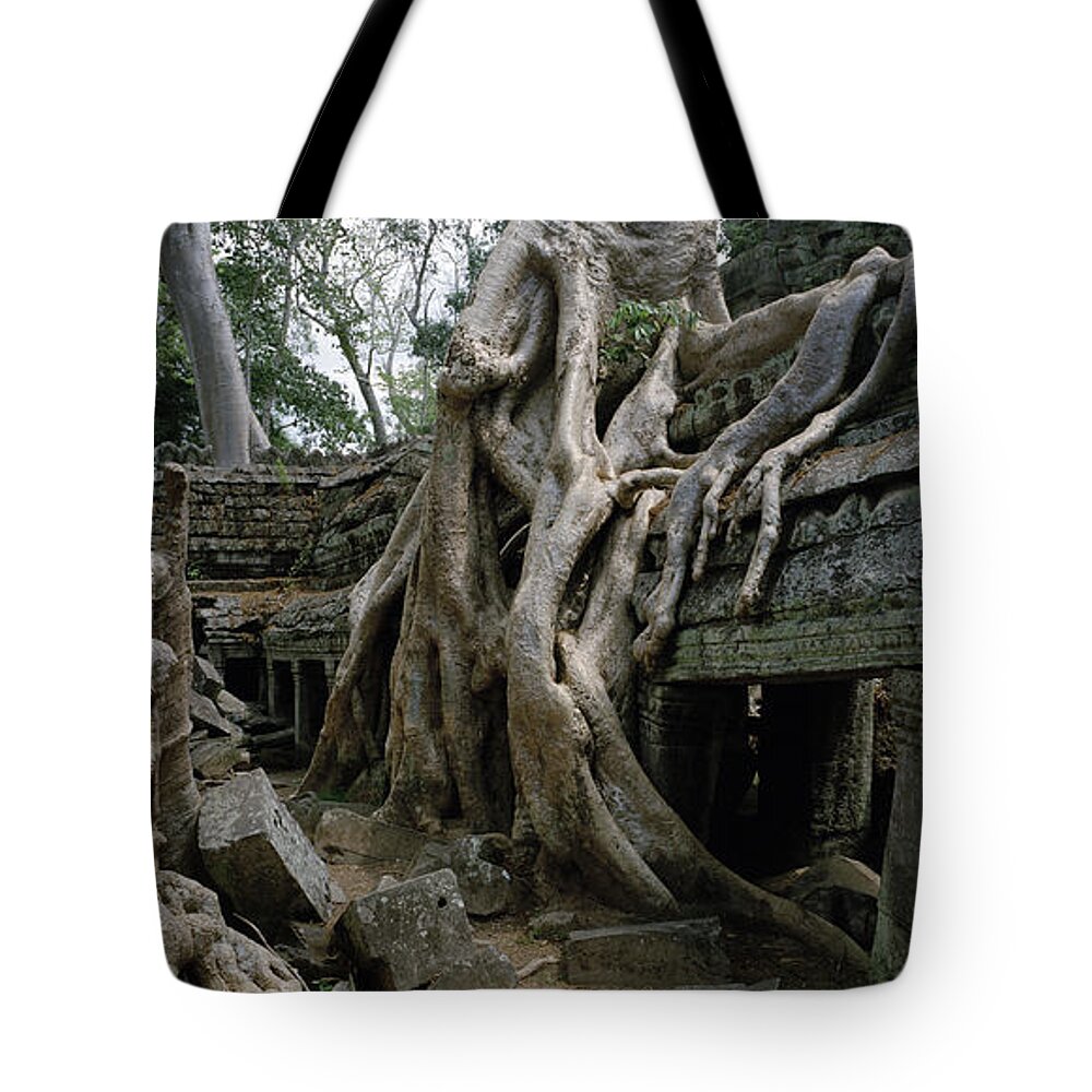 Timeless Tote Bag featuring the photograph Decay At Ta Prohm by Shaun Higson
