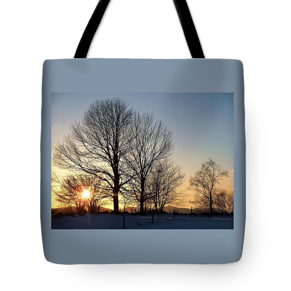 December Sundown Through The Trees Tote Bag featuring the photograph December Sundown Through The Trees by Joy Nichols