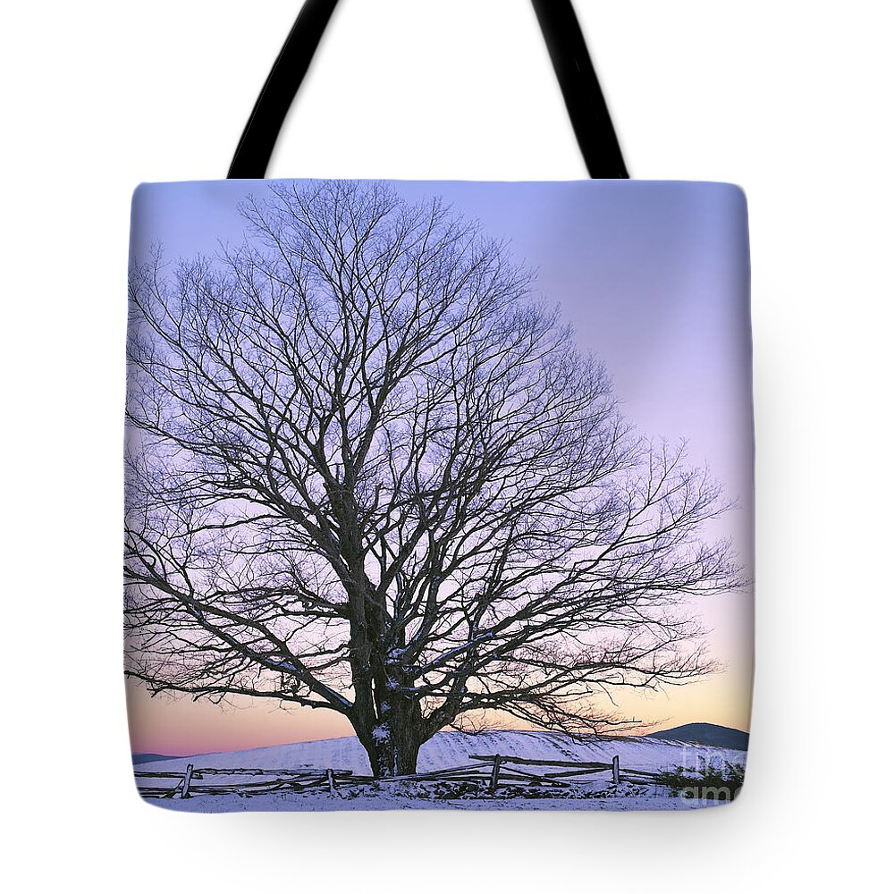 Winter Tote Bag featuring the photograph December Twilight by Alan L Graham