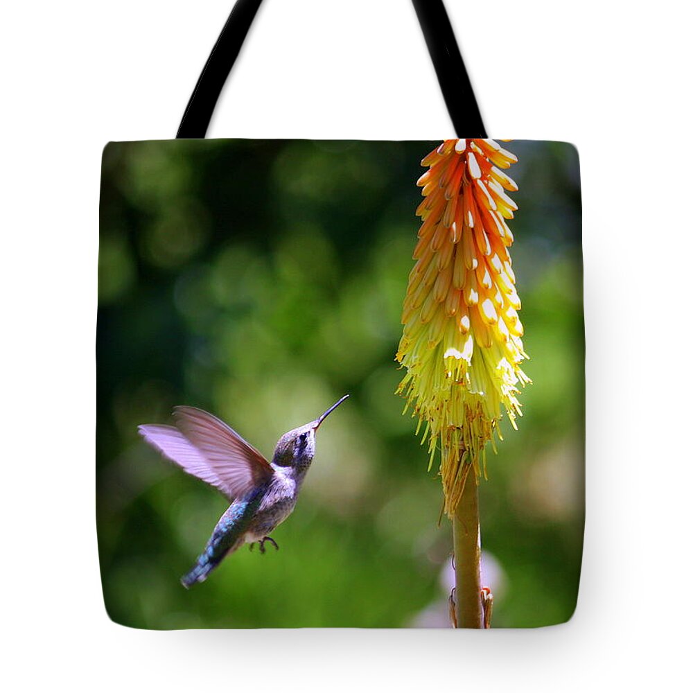 Discisions Tote Bag featuring the photograph Decisions Decisions by Patrick Witz