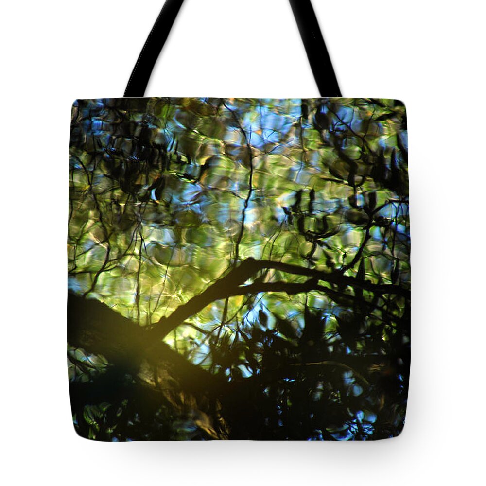 Abstract Tote Bag featuring the photograph Deep Forest Light by Donna Blackhall