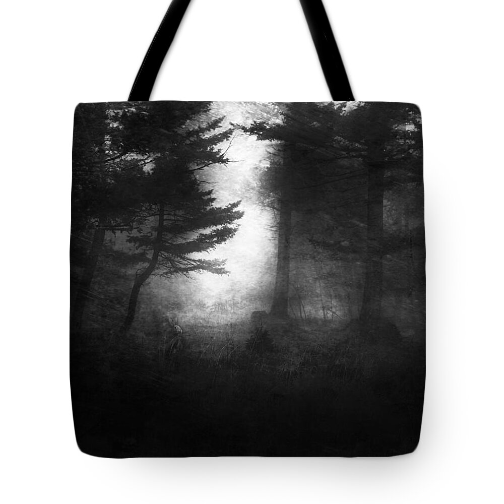 Rabbit Tote Bag featuring the photograph Deep In The Dark Woods by Theresa Tahara