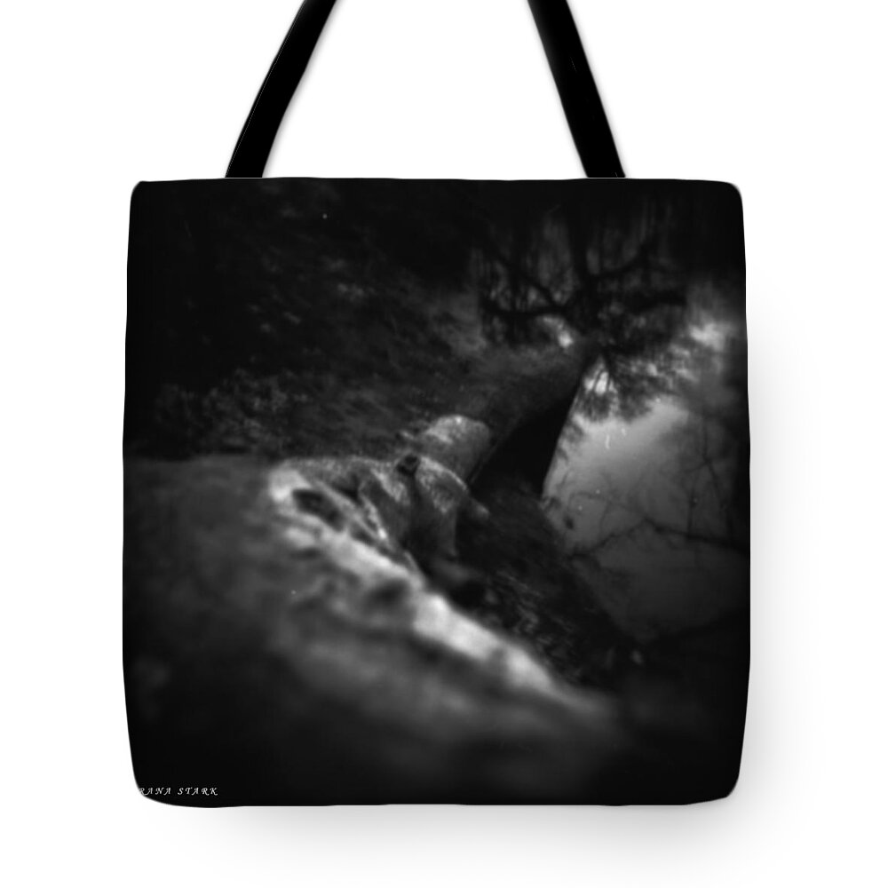 Tree Tote Bag featuring the photograph Deep in the Forest by Verana Stark