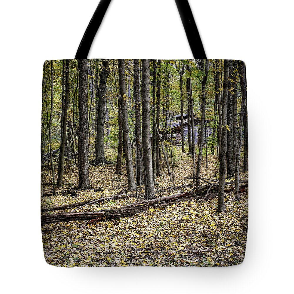 Autumn Tote Bag featuring the photograph Deep Woods Cabin by Tom Mc Nemar