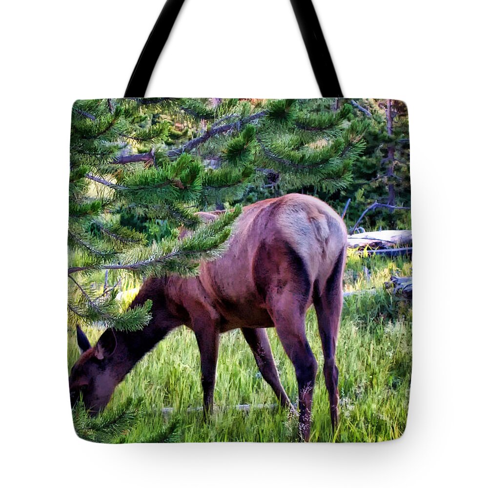 Deer Tote Bag featuring the photograph Deer 7 by Dawn Eshelman