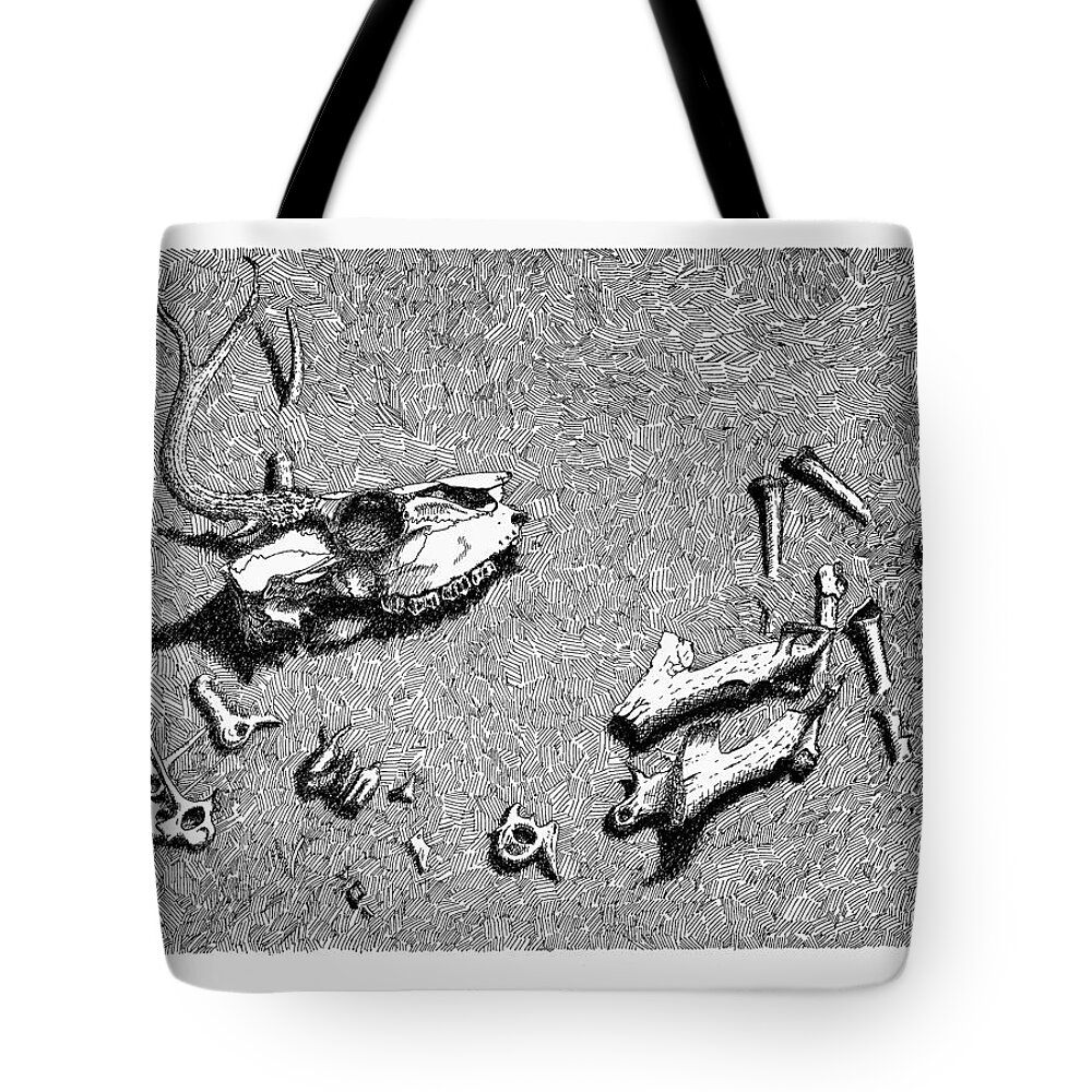 Nature Tote Bag featuring the drawing Deer Bones by Daniel Reed