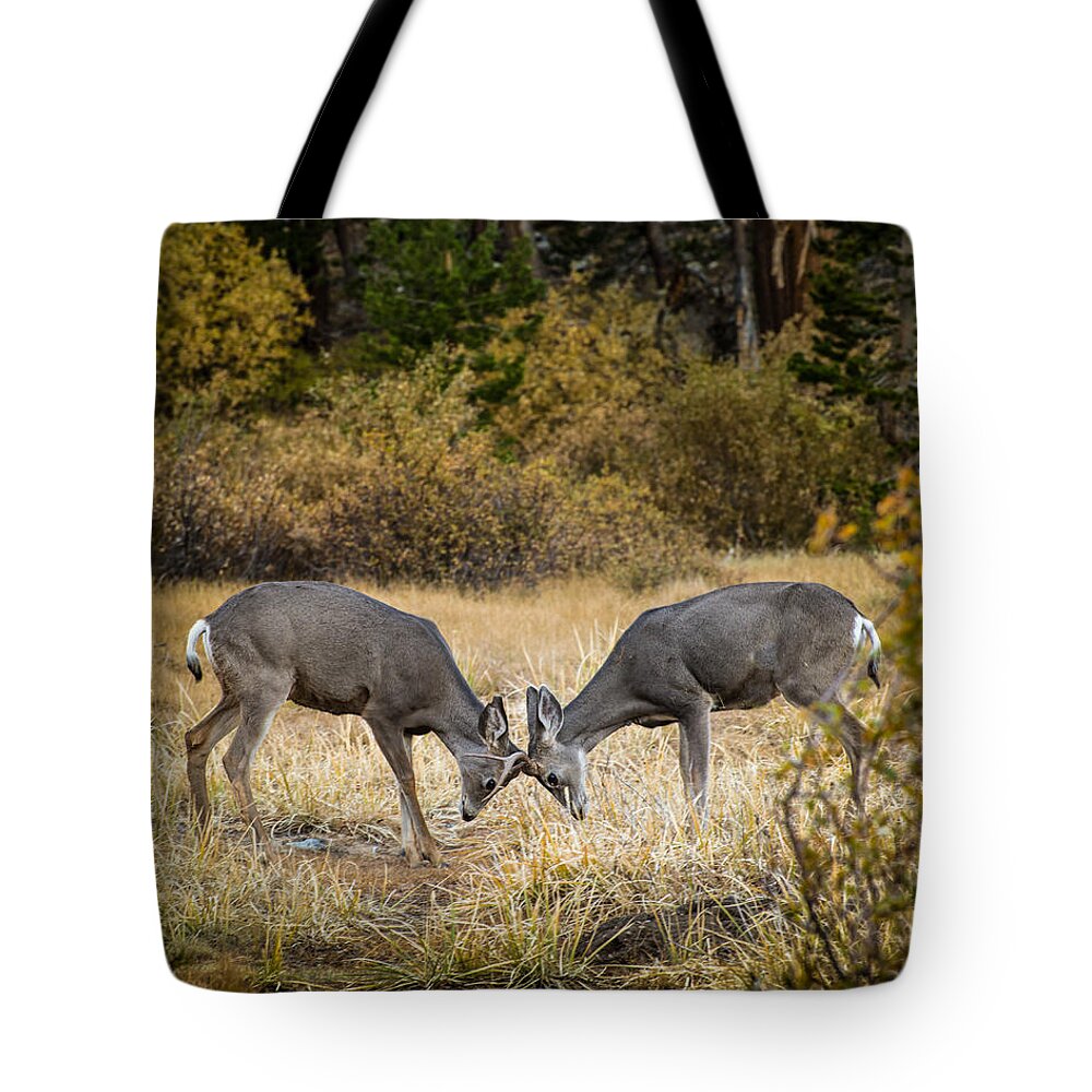 Deer Tote Bag featuring the photograph Deer Games by Janis Knight