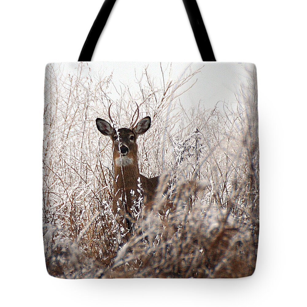 Wildlife Tote Bag featuring the photograph Deer in Winter by William Selander