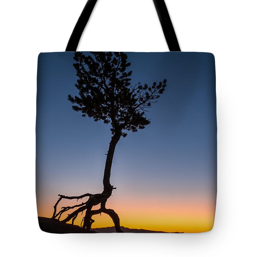 Bryce Canyon Tote Bag featuring the photograph Defiant by George Buxbaum