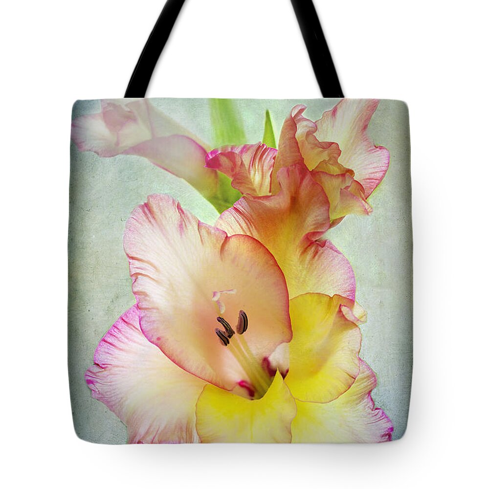 Gladiolus Tote Bag featuring the photograph Delicate Beauty by Marina Kojukhova