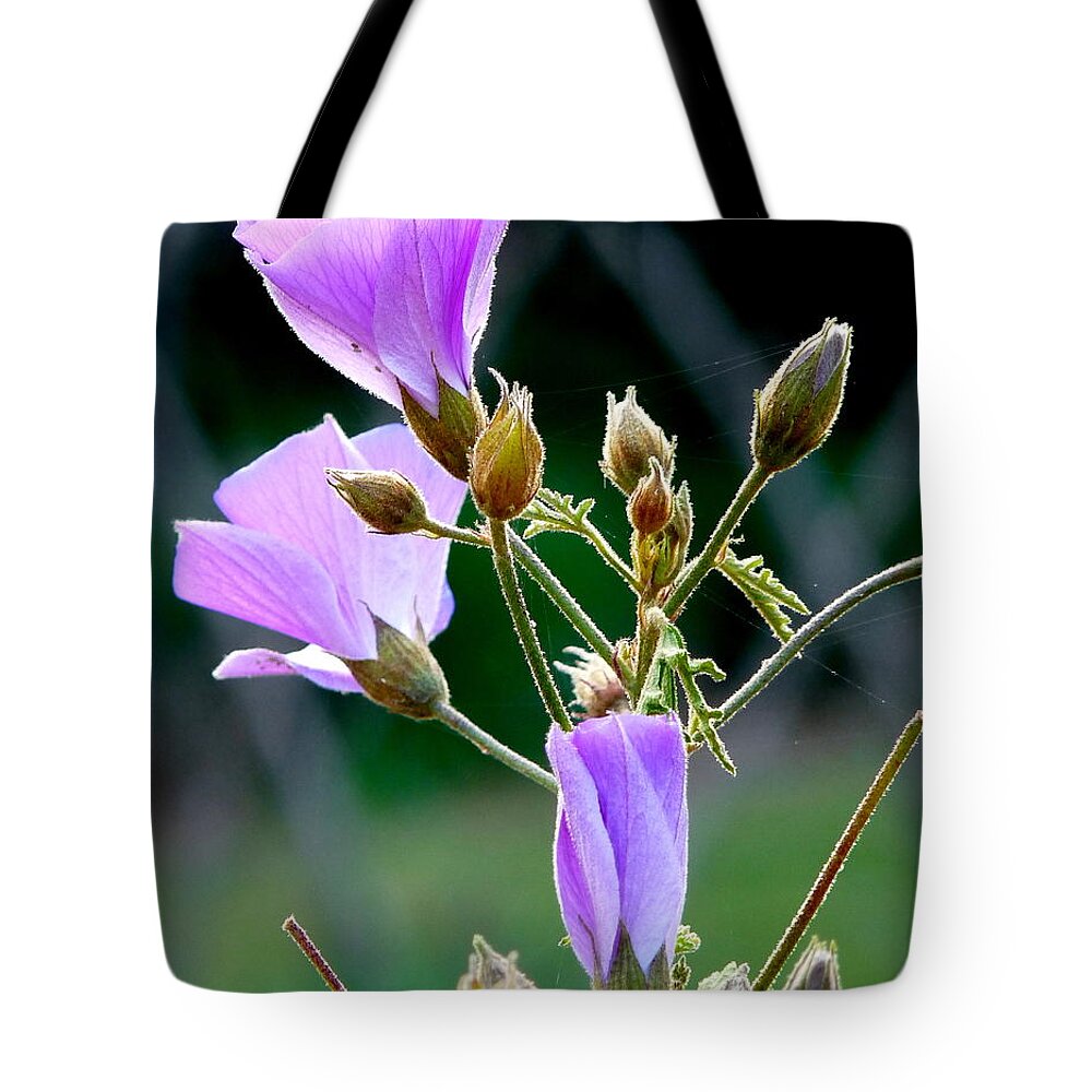 Purple Blossoms Tote Bag featuring the photograph Delicate Purple Blossoms by Jeff Lowe