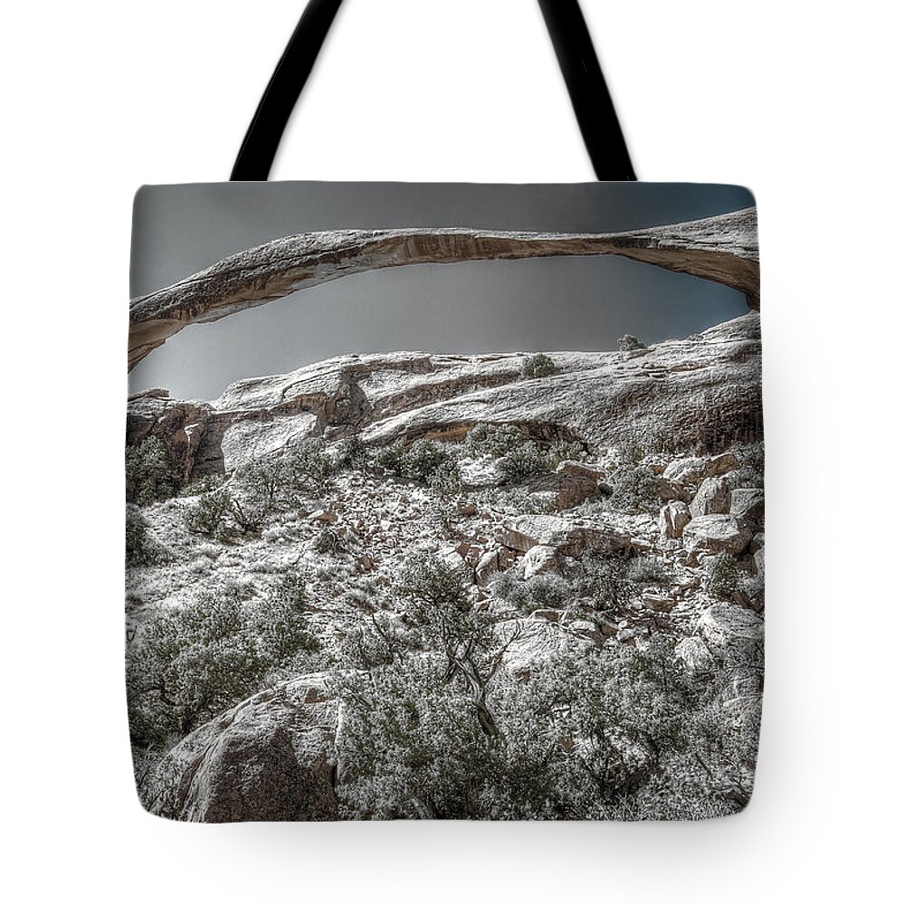 Utah Tote Bag featuring the photograph Delicate Stone by Richard Gehlbach