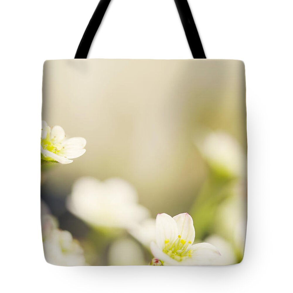 Flower Tote Bag featuring the photograph Delicate white flowers by Sophie McAulay