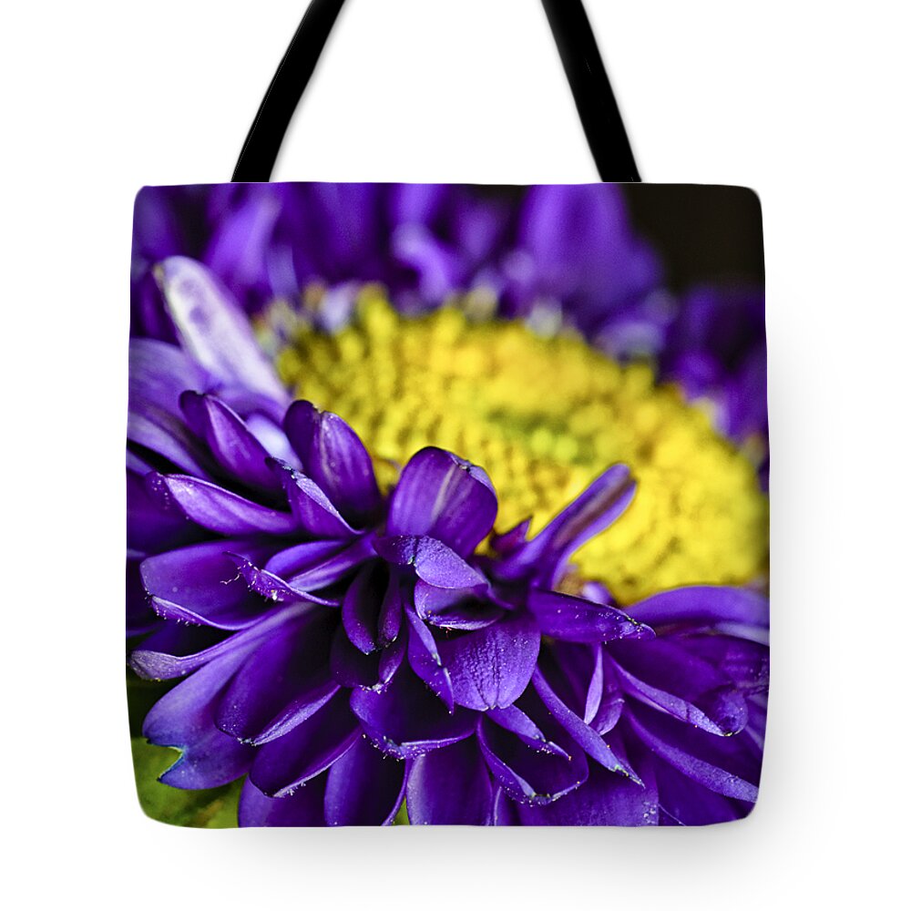 Aster Matsumoto Tote Bag featuring the photograph Delights the Eye by Christi Kraft