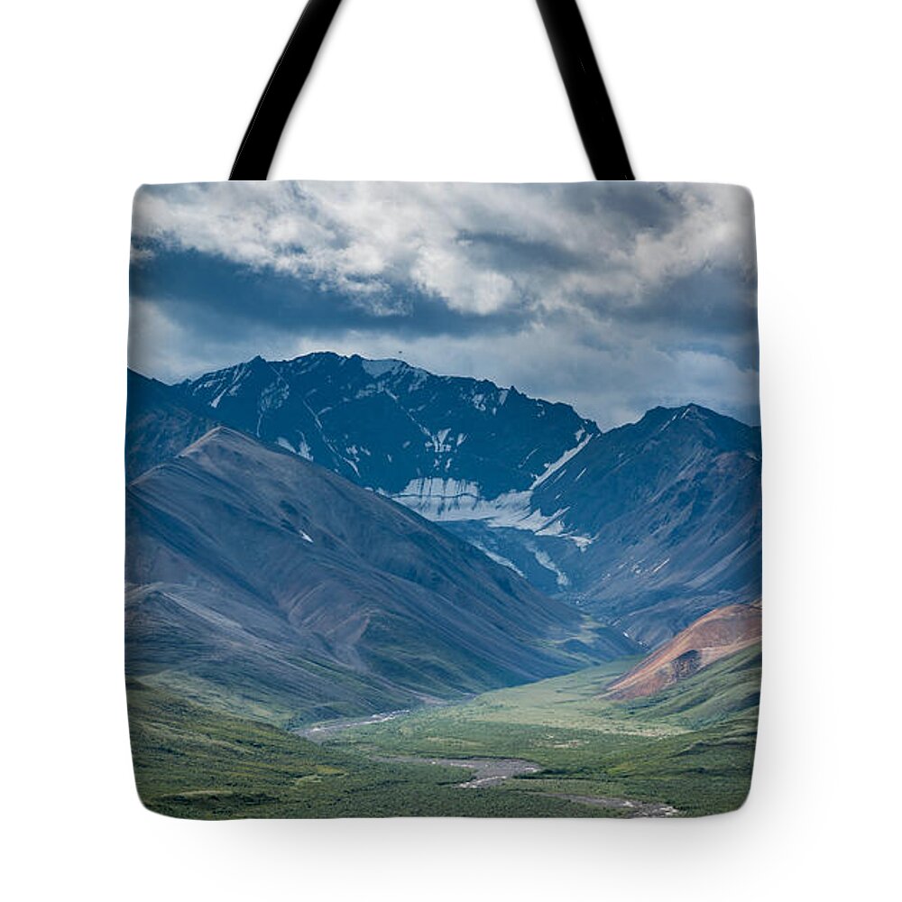 Mountain Tote Bag featuring the photograph Denali National Park by Andrew Matwijec