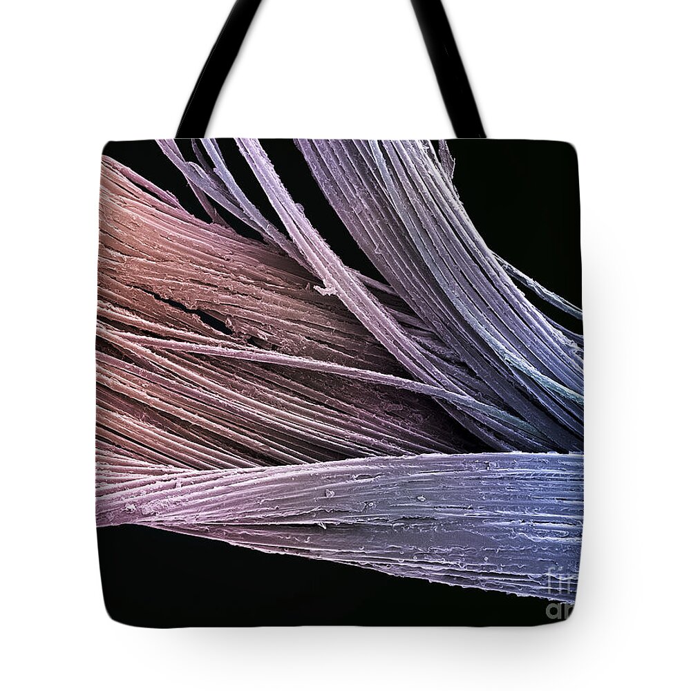 Colored Tote Bag featuring the photograph Dental Floss SEM by Spl