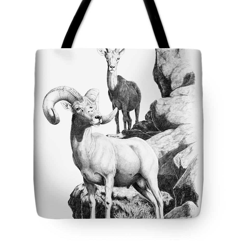 Desert Bighorn Tote Bag featuring the drawing Desert Bighorns by Darcy Tate