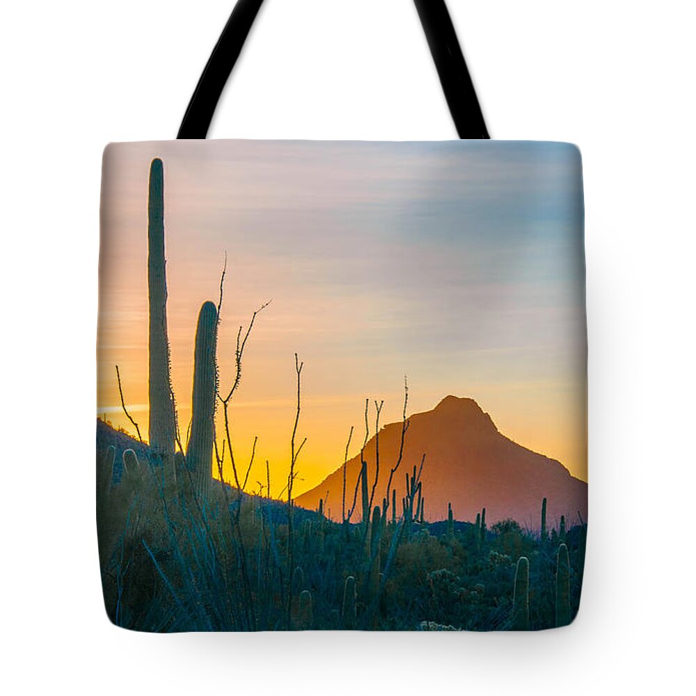 Scenery Tote Bag featuring the photograph Desert Colors by Barbara Manis