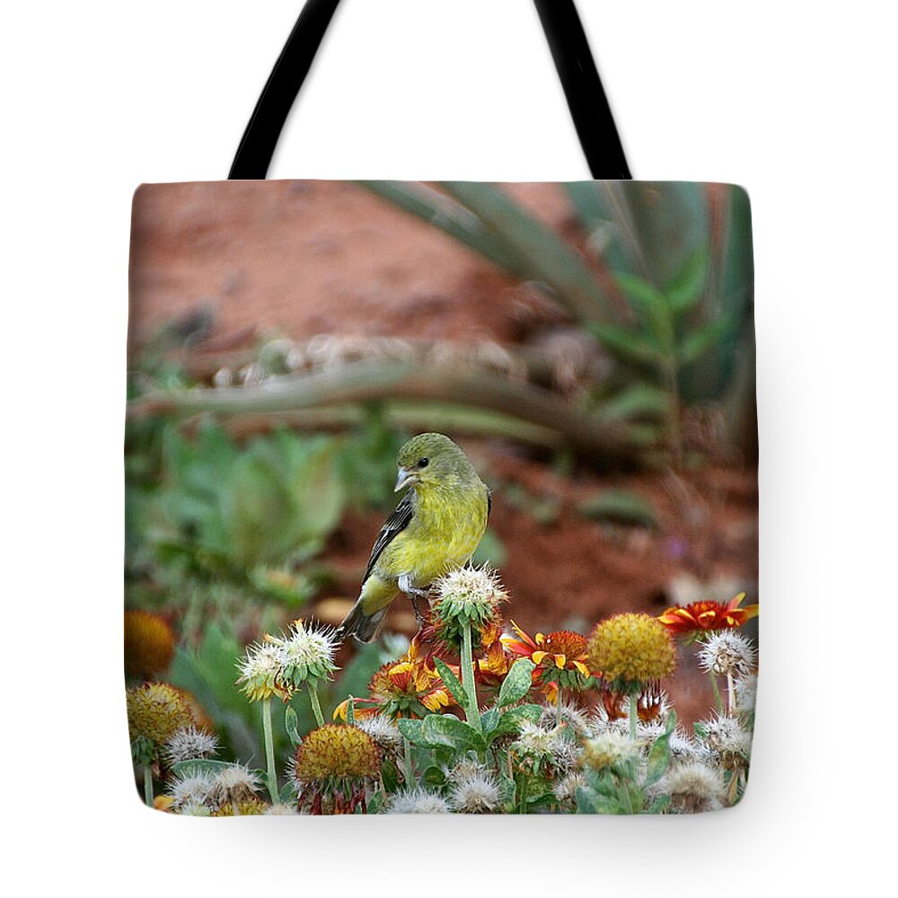 Sedona Tote Bag featuring the photograph Desert Finch by Susan Herber