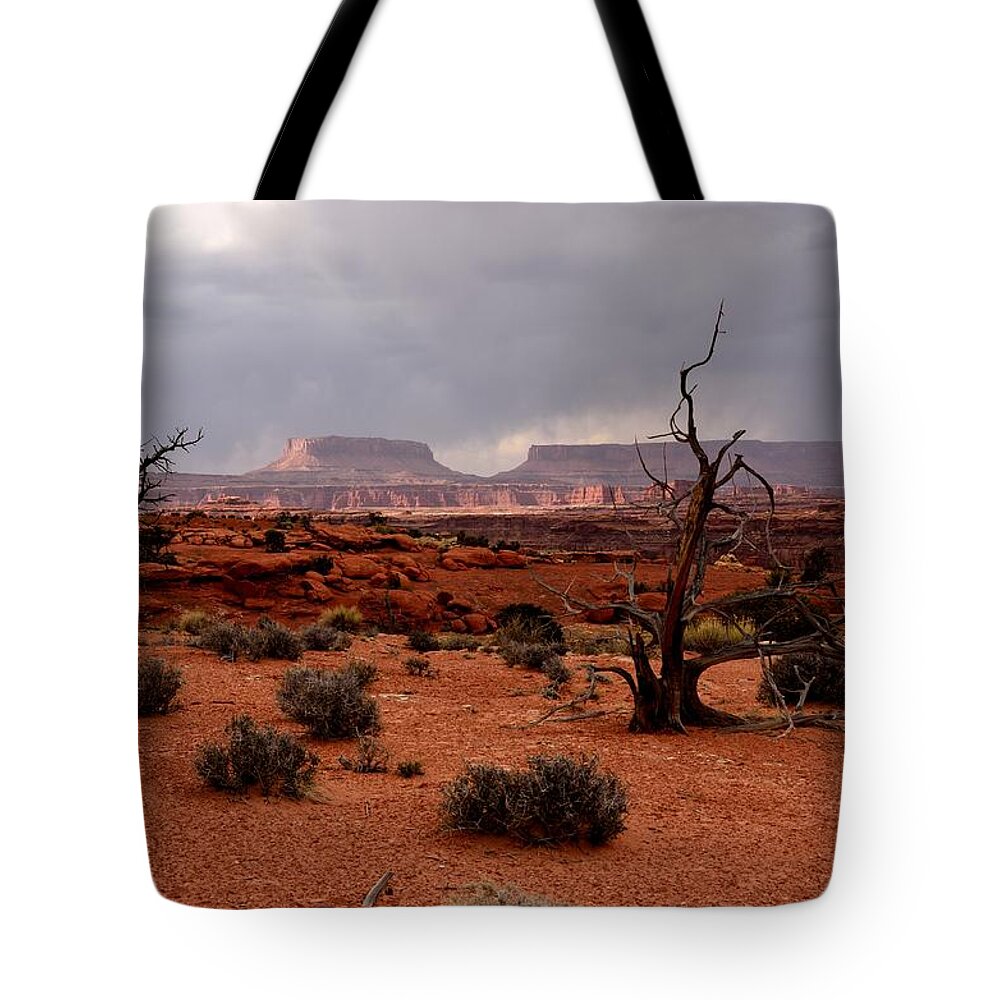 Canyonlands Tote Bag featuring the photograph Desert Light by Tranquil Light Photography