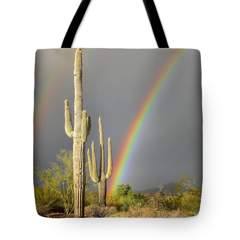 Desert Tote Bag featuring the photograph Desert Rainbow by Gordon Beck