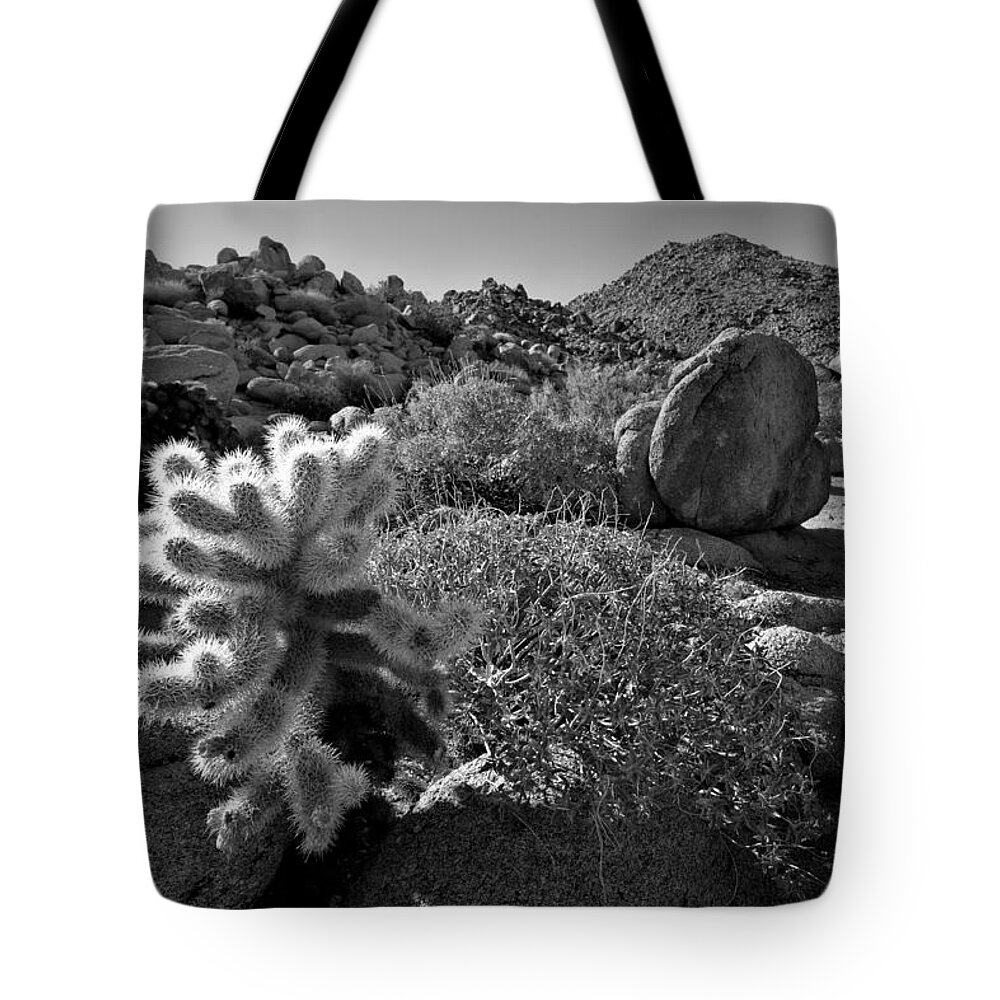 Anza-borrego Desert Tote Bag featuring the photograph Desert Scene by Peter Tellone