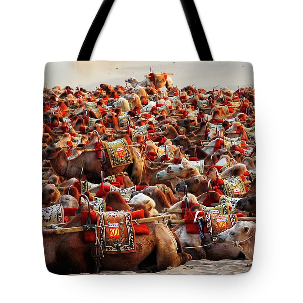 Working Animal Tote Bag featuring the photograph Desert Transport by Yglow