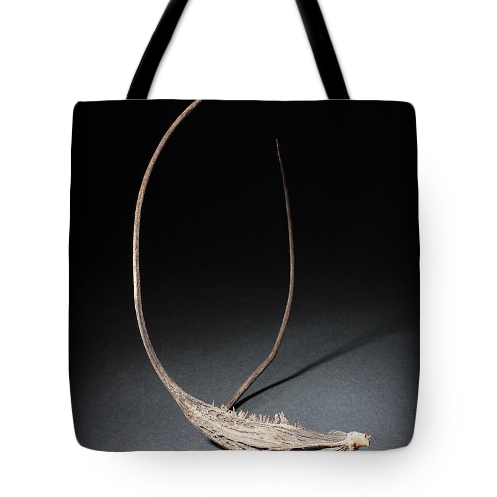 Botanical Tote Bag featuring the photograph Devil Claw by Joe Kozlowski