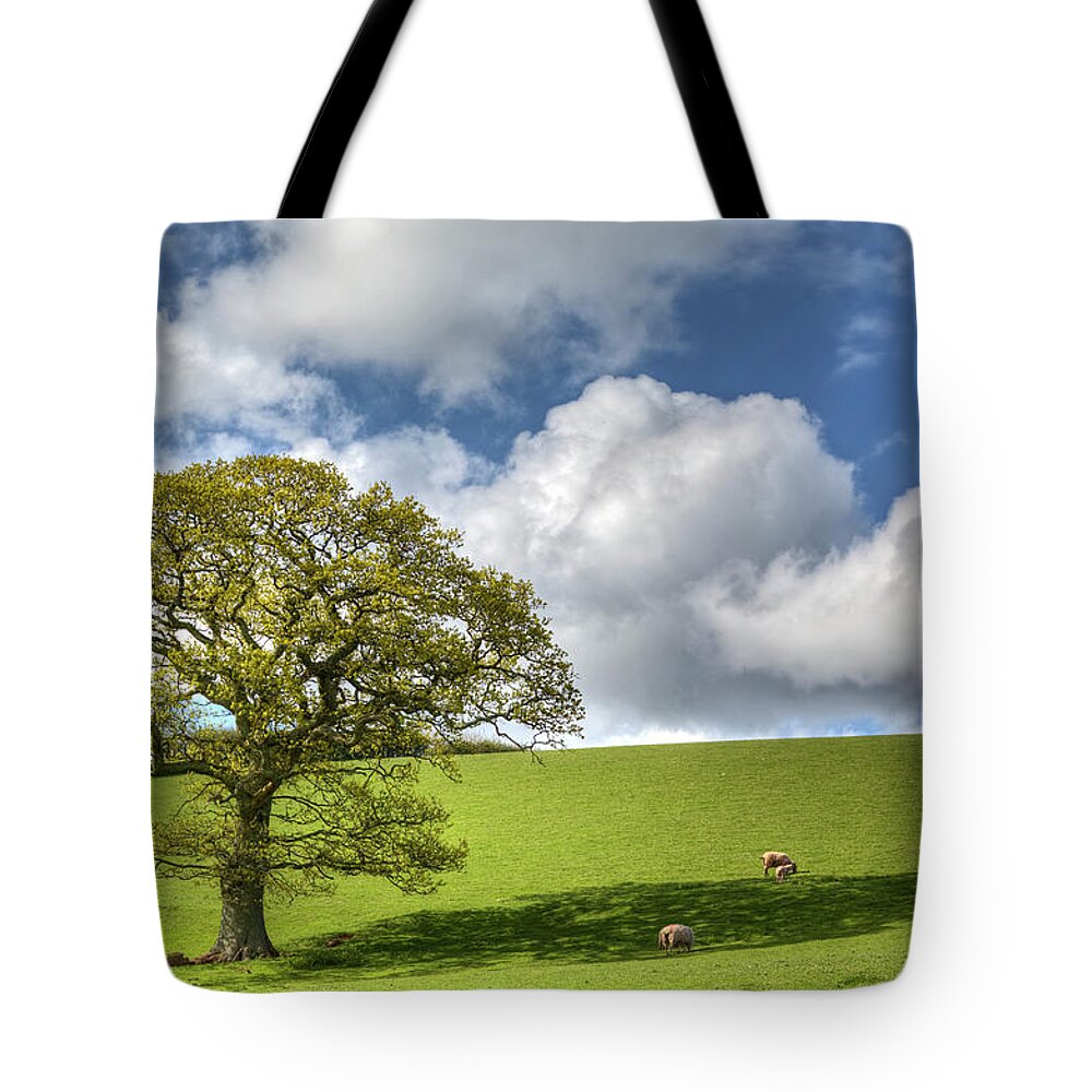 Shadow Tote Bag featuring the photograph Devon Spring Scene by Landscapes, Seascapes, Jewellery & Action Photographer