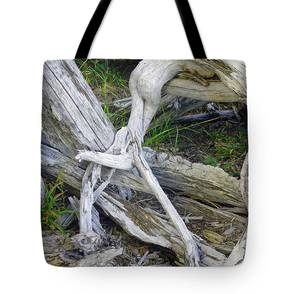 Abstract Tote Bag featuring the photograph Devoured One by Lauren Leigh Hunter Fine Art Photography