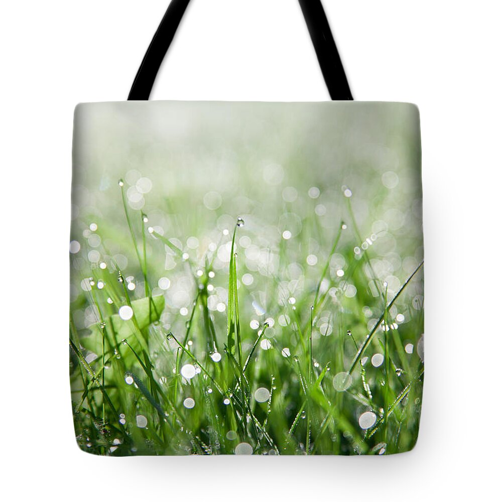 Dew Tote Bag featuring the photograph Dew Drenched Morning by Jan Bickerton