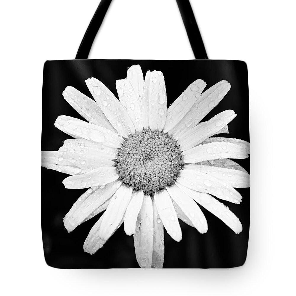 3scape Tote Bag featuring the photograph Dew Drop Daisy by Adam Romanowicz