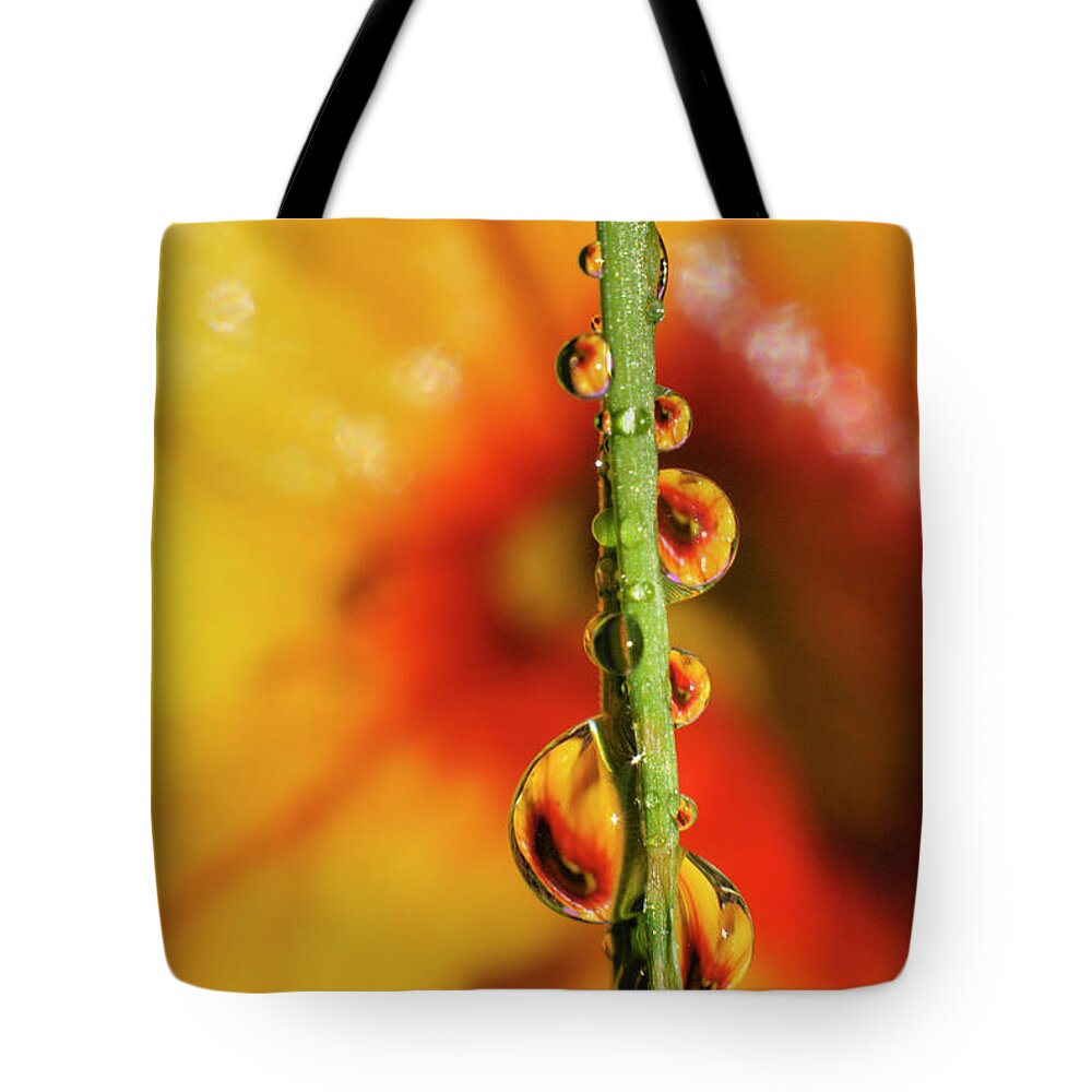 Macro Tote Bag featuring the photograph Dew Droplet Fractals by Arthur Fix