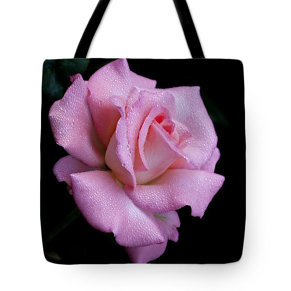 Rose Tote Bag featuring the photograph Dew Drops by Doug Norkum
