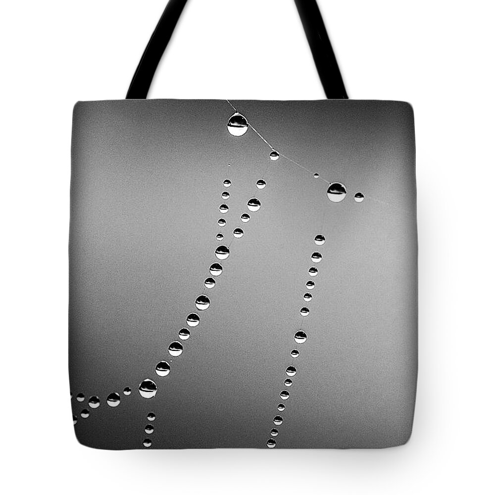 Dew Drops Tote Bag featuring the photograph Dew Drops on Web by Marty Saccone
