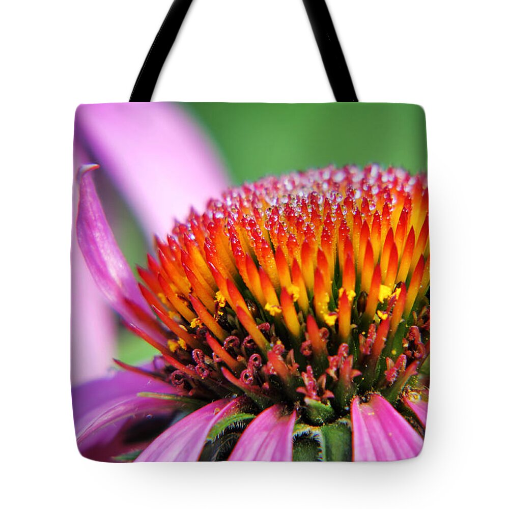 Purple Cone Flower Tote Bag featuring the photograph Dew-laden Purple Cone Flower by Jason Politte