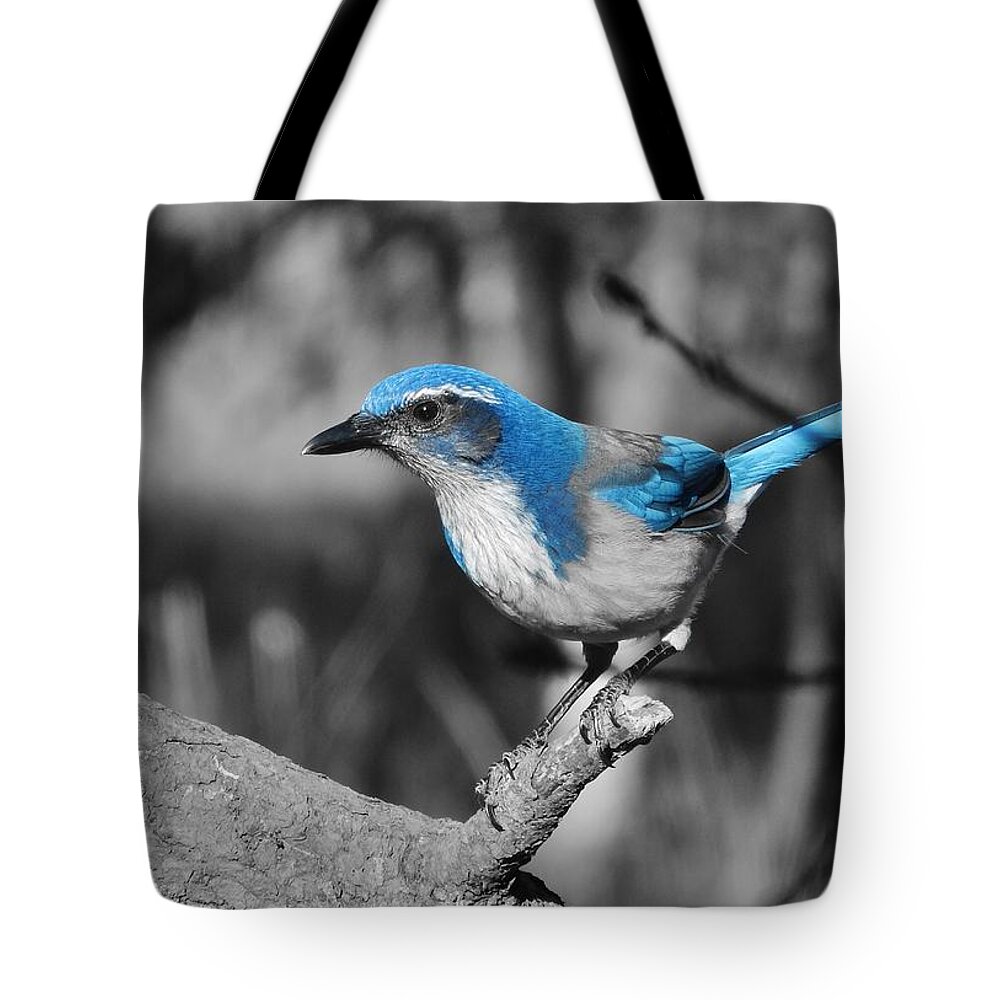 Selective Color Tote Bag featuring the photograph Dial Blue by VLee Watson