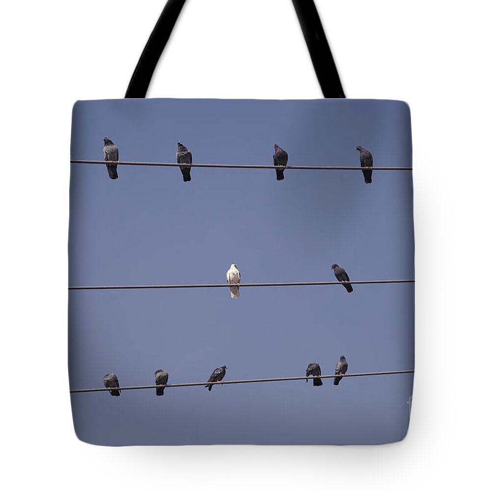 Abstract Tote Bag featuring the photograph Different by Maria Heyens