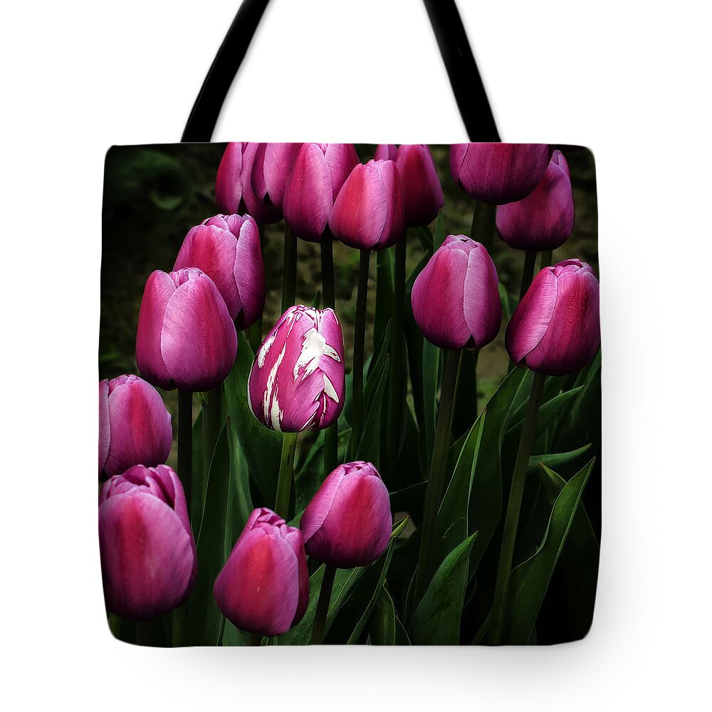 Tulip Tote Bag featuring the photograph Different by Mary Jo Allen
